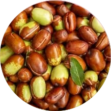Aceite de Jojoba